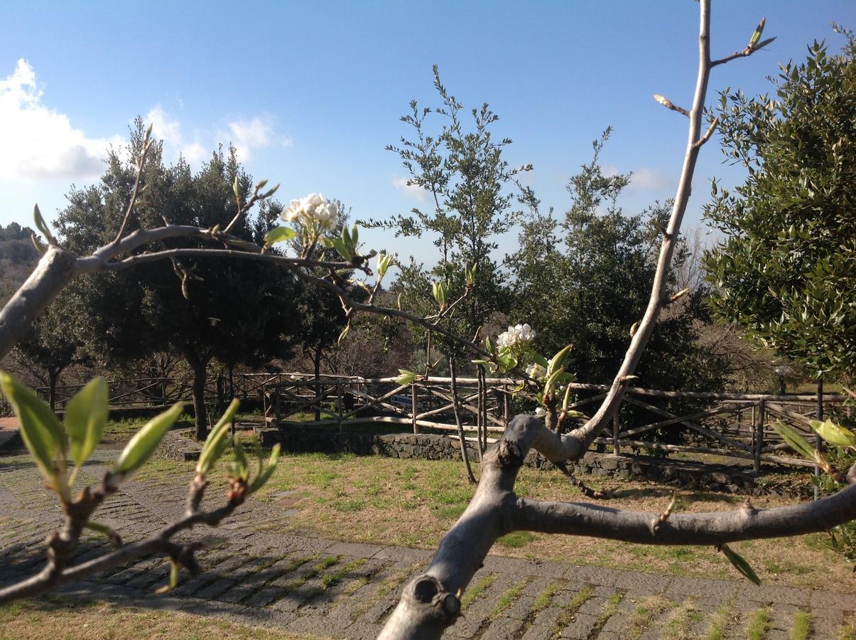 Le Cisterne Dell'Etna Hotel Calcerana-Marina Bagian luar foto