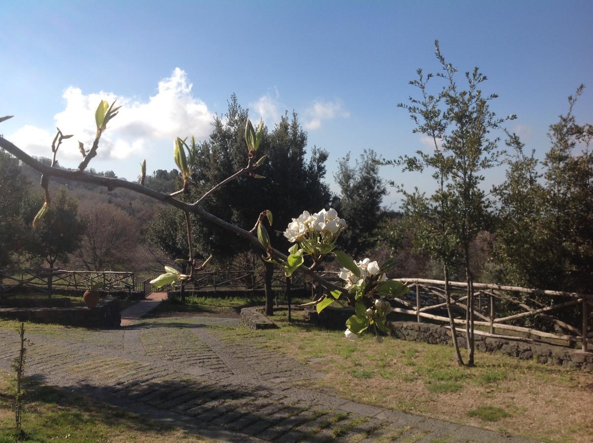 Le Cisterne Dell'Etna Hotel Calcerana-Marina Bagian luar foto