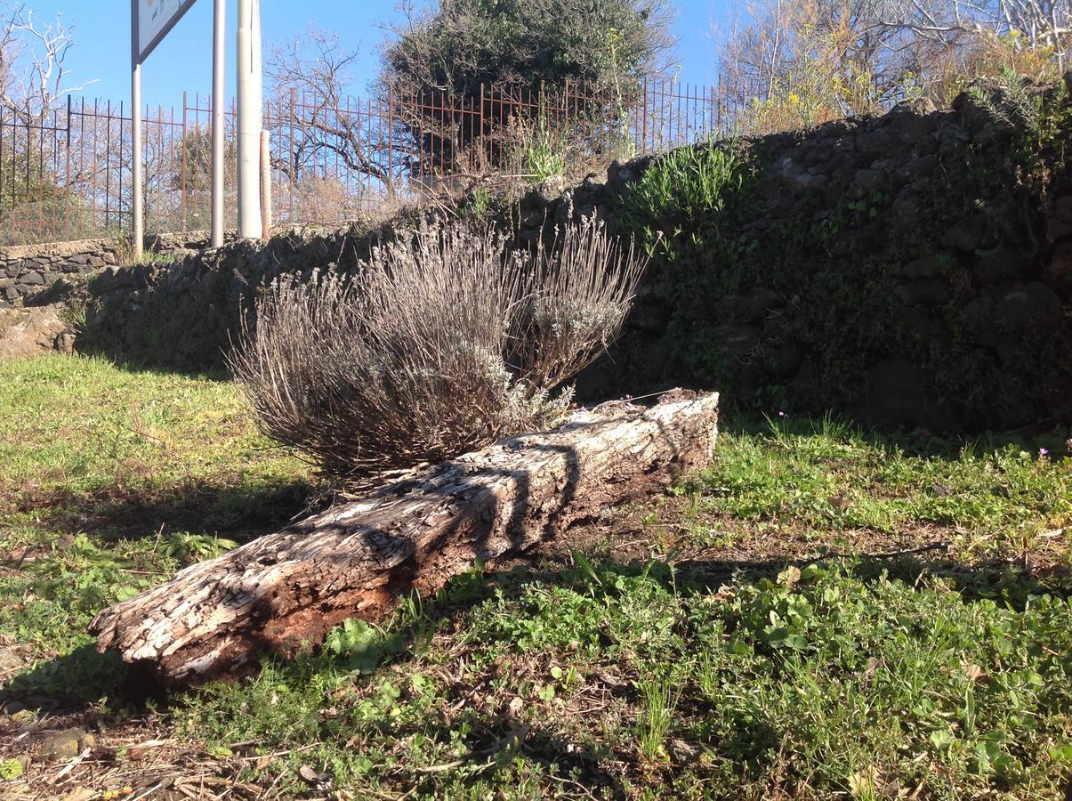 Le Cisterne Dell'Etna Hotel Calcerana-Marina Bagian luar foto